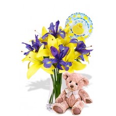 Asiatic and Iris Package with Medium Teddy Bear and Helium Balloon